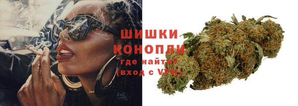 шишки Арсеньев
