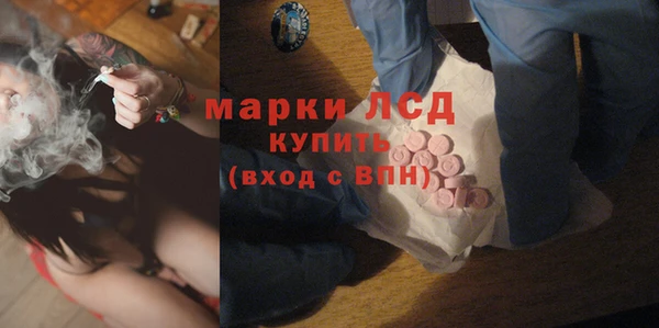 шишки Арсеньев