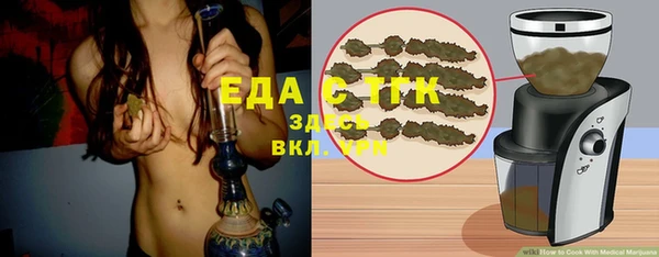 шишки Арсеньев