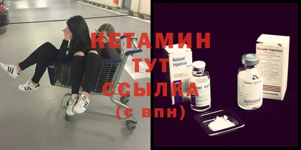 шишки Арсеньев