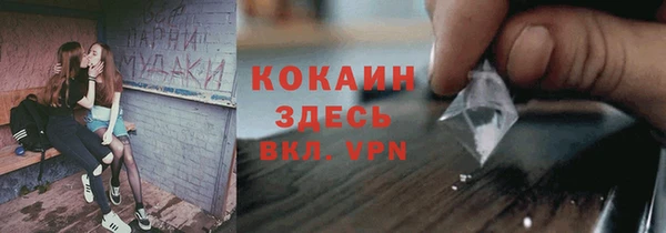 молекула духа Аркадак