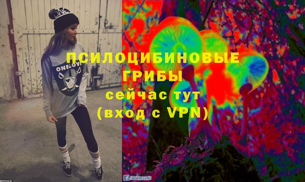 молекула духа Аркадак