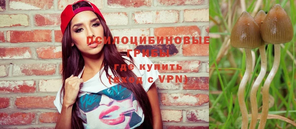прущие крисы Армянск