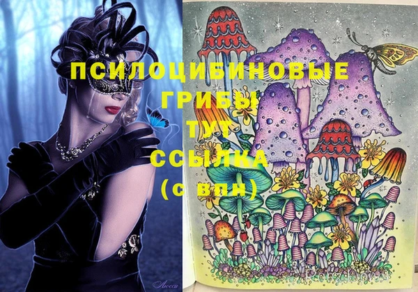 шишки Арсеньев