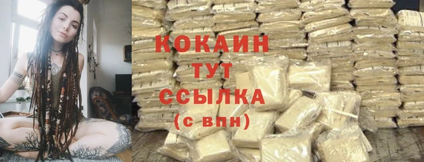 шишки Арсеньев