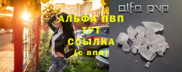 шишки Арсеньев