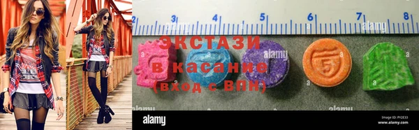 шишки Арсеньев